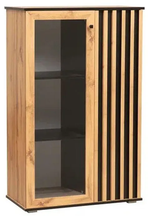 Шкаф комбинированный Либерти 51.03 (опора h20) Дуб вотан/Черный