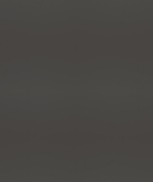 Ф-231 Альфа Фальшпанель (ШВ 300х920 - ШВ 800х920) холст вулкан