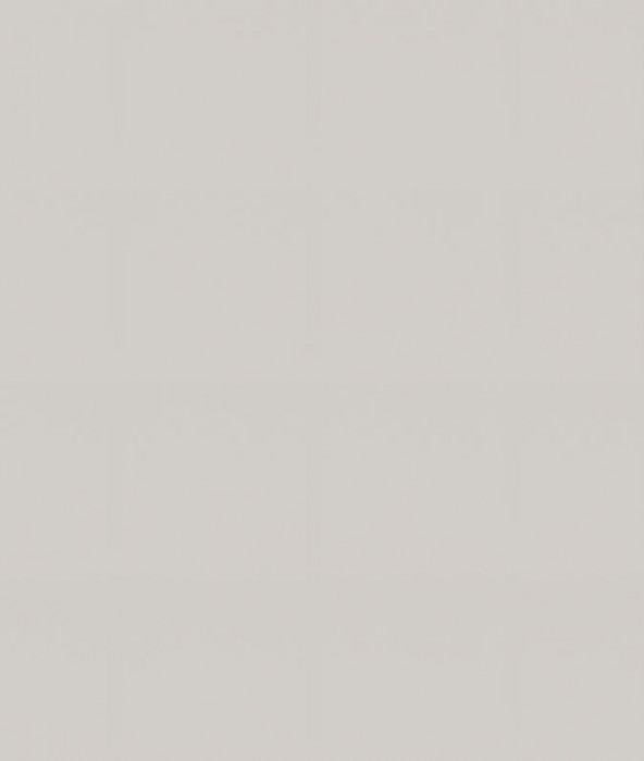 Ф-210 Альфа (ШВ 920х300) МДФ холст белый