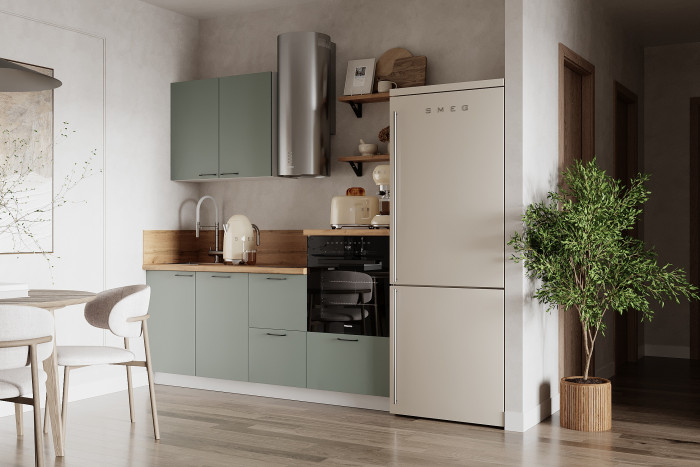 КГ 1950 Эмаль, Олива Арника РМ в.2