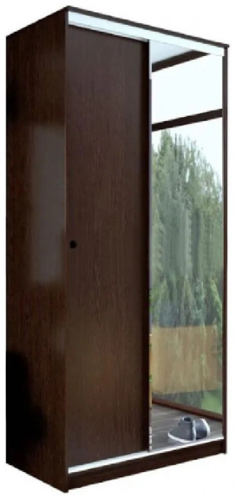 Шкаф-купе Альянс 1000 (Венге)