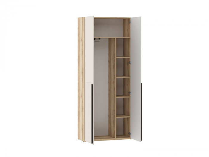 200.03 шкаф для одежды (ПВХ) Арден Дуб Делано / Сантьяго софт